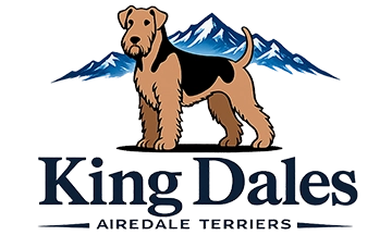 King Dales Airedale Terriers