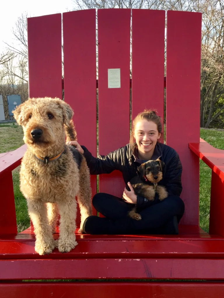 Lynne Altenburg with two Airedale Terriers